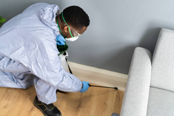 Best Residential Pest Control  in Lockport, IL